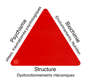 Le fonctionnement du corps entier dans ses différents aspects représentés par un triangle