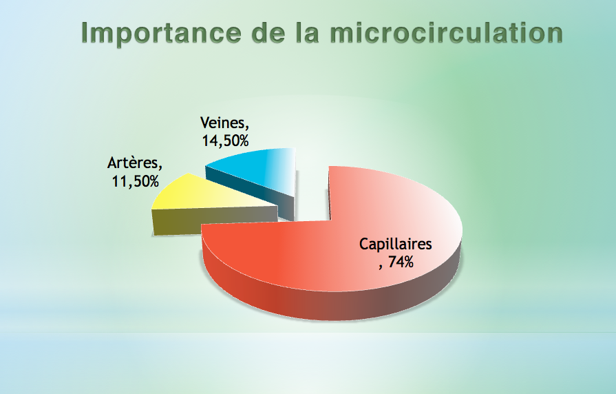 Bemer et son action sur la microcirculation