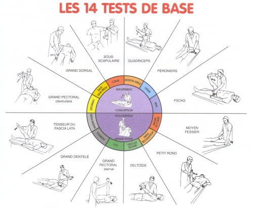 Santé par le toucher, les tests de base